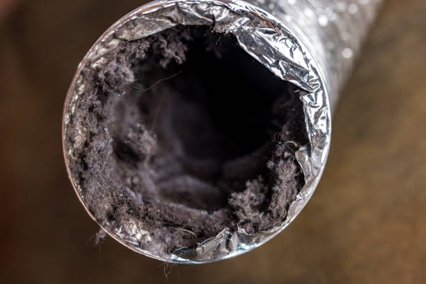 Best Local Air Duct Cleaning Services  in North Bend, NE